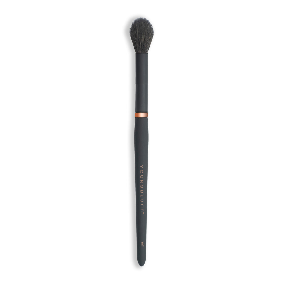YB7 Highlight Brush